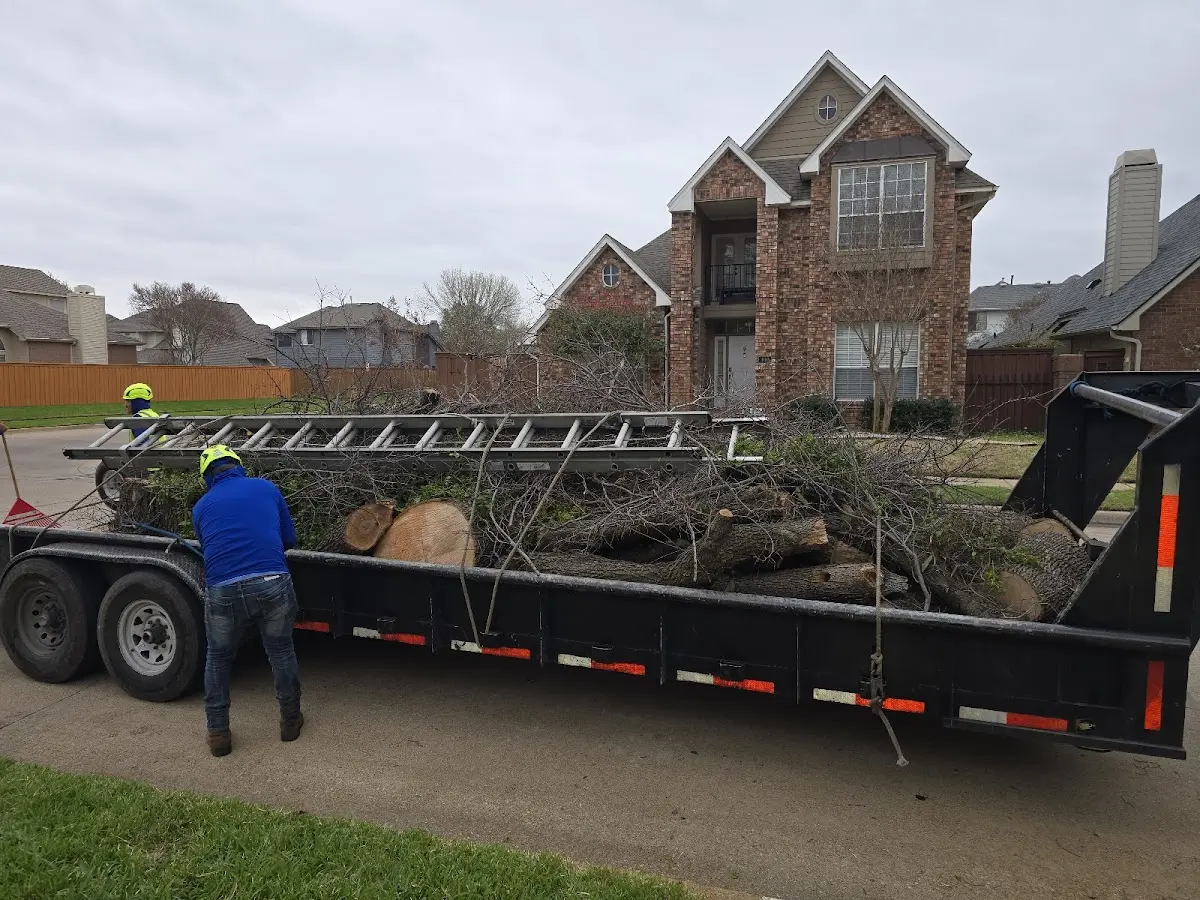 Expert Lot Clearing with proper safety equipment in Kevin